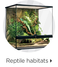 Reptile habitats > 