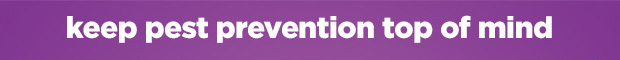 Keep pest prevention top of mind. 