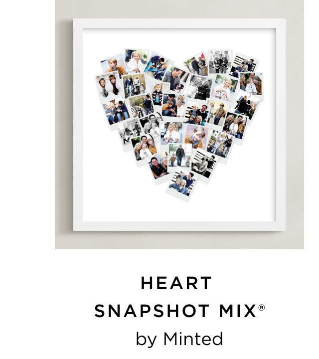 Heart Snapshot Mix®
