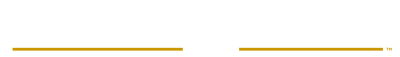 Rogue ST Logo