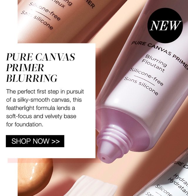 Pure Canvas Primer Blurring