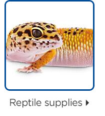 Reptile supplies.