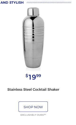 Stainless Steel Cocktail Shaker | $19.99 | shop now | EXCLUSIVELY OURS SM