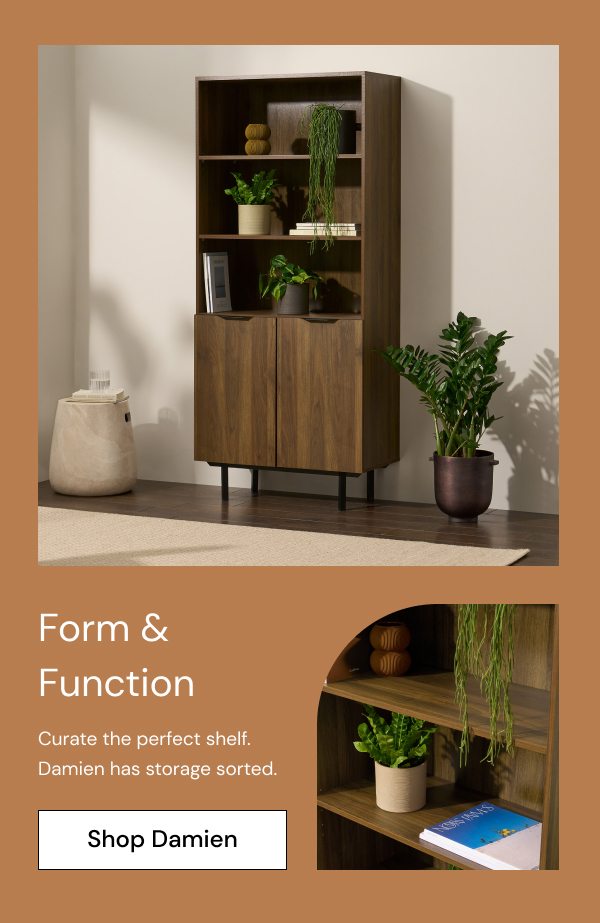 Form & Function - shop Damien