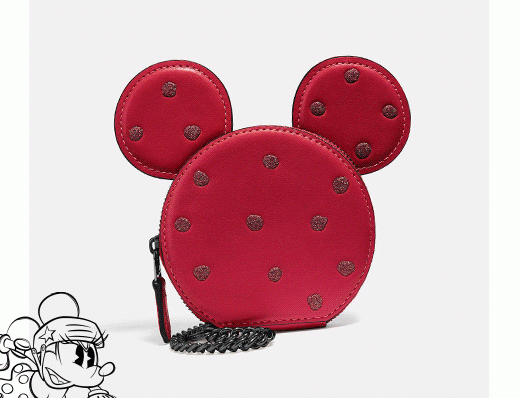 HOT SPOTS | SHOP DISNEY X COACH