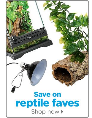 Save on reptile faves. Shop now.