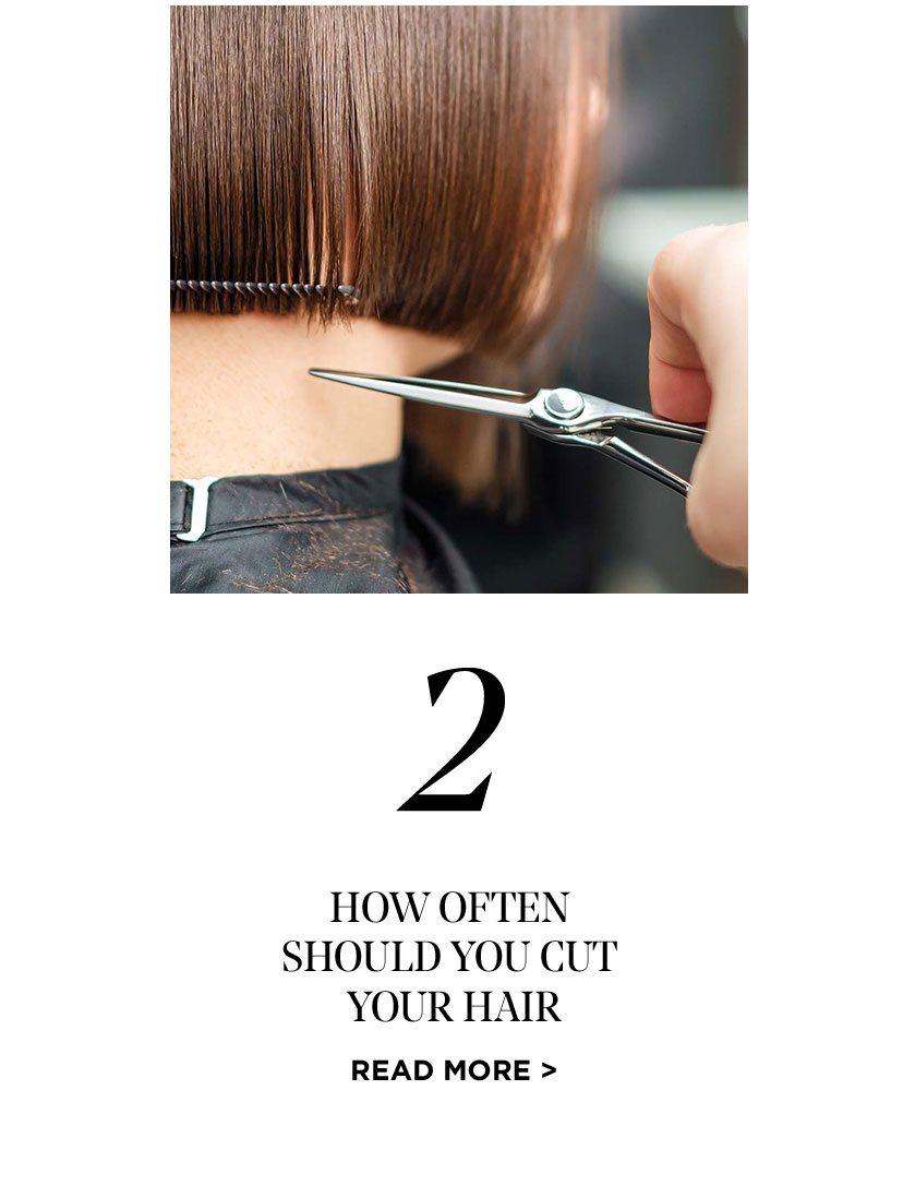 How often should you cut your hair - Read More