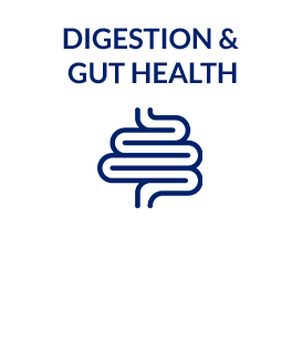 Digestion & Gut Health. Shop Now.