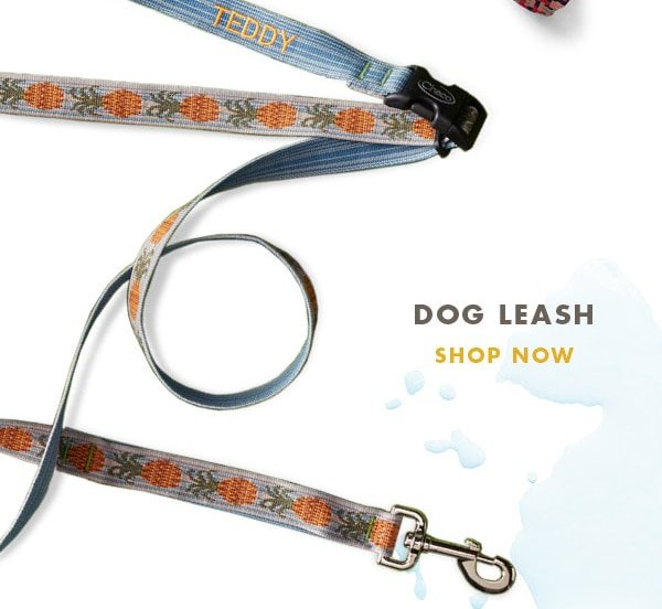 DOG LEASH