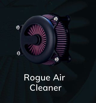 Rogue Air Cleaner