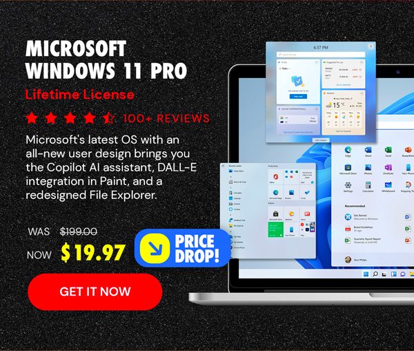 Microsoft Windows 11 Pro