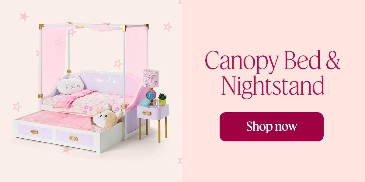 Canopy Bed & Nightstand