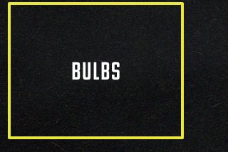 Bulbs