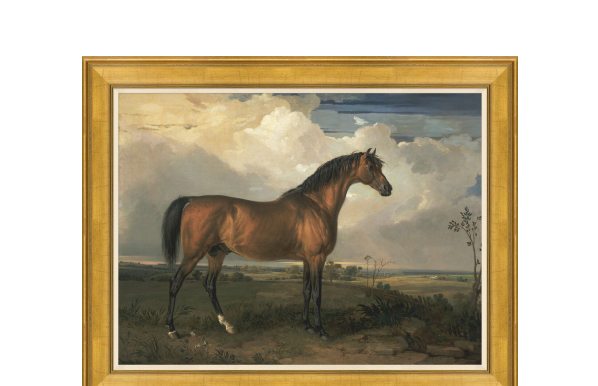 Shop Equestrian Art