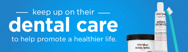 Keep up on their dental care to help promote a healthier life.