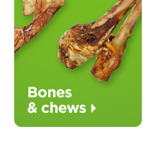 Bones & Chews