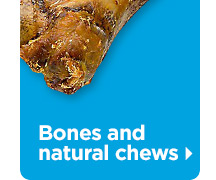 Bones and natural chews