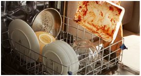 Shop dishwashers