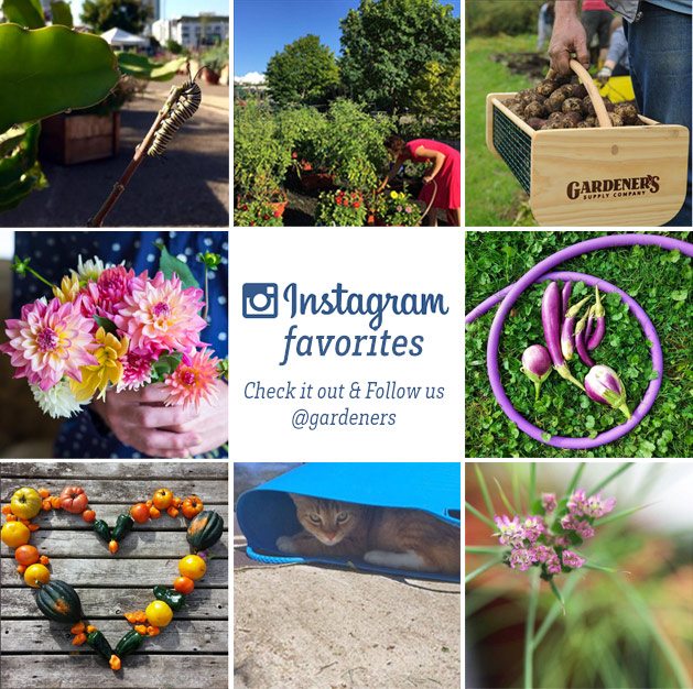 We Photos Share With Us On Instagram Gardeners Supply Email