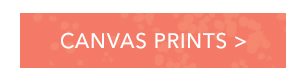 CANVAS PRINTS >
