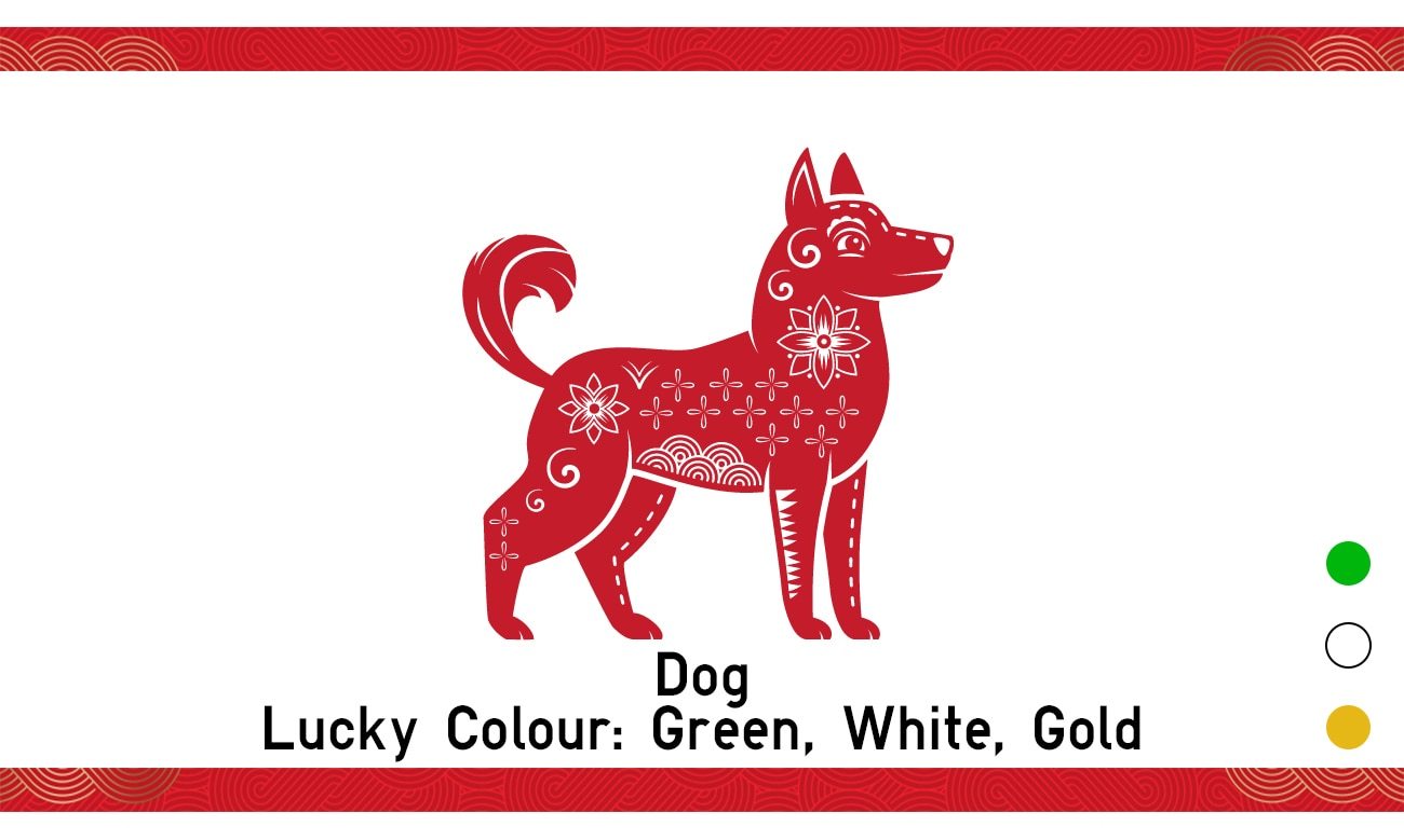 Dog Lucky Colour