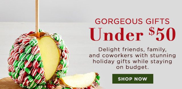 GORGEOUS GIFTS - Under $50 - Delight friends, family, and coworkers with stunning holiday gifts while staying on budget.