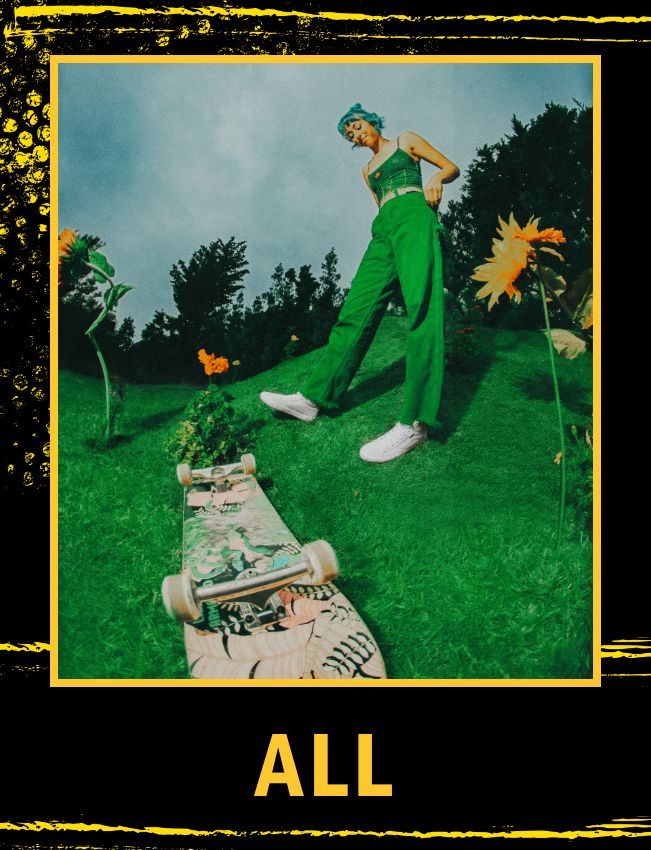 All Vans Skate Skateboard Image