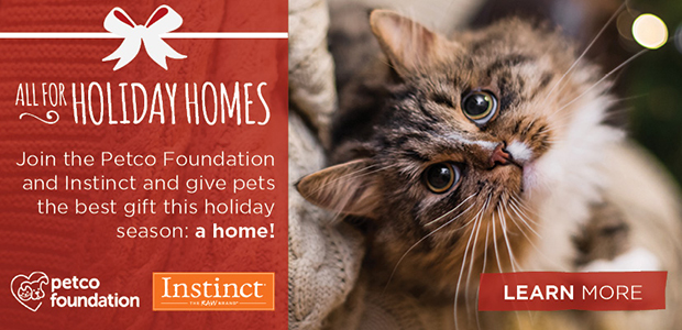 All for holiday homes. Join the Petco Foundation and Instinct and give pets the best gift this holiday season: a home! Learn more > 