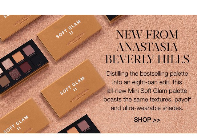 NEW from Anastasia Beverly Hills