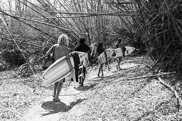 The Crew on the Search in Surf Revival