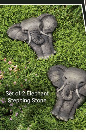 Set of 2 Elephant Stepping Stone