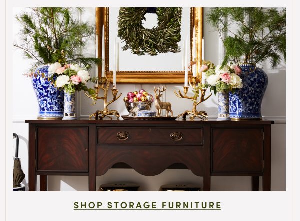 Shop Storage Furniture