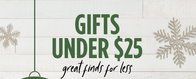 GIFTS UNDER $25 great finds for less