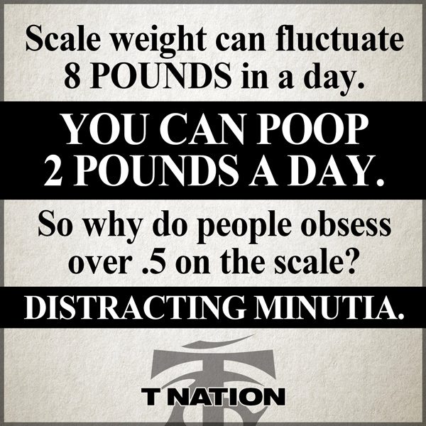 Scale weight
