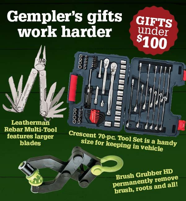Hard-working Gifts Under $100