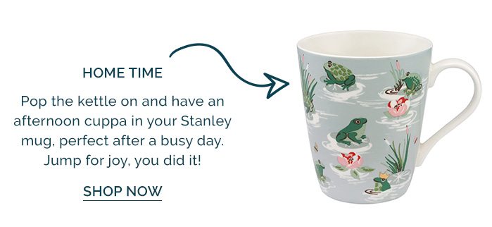 Bathing Frogs Stanley Mug