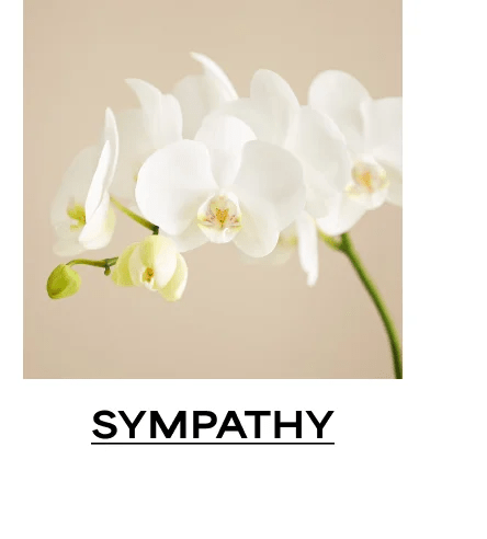 Sympathy