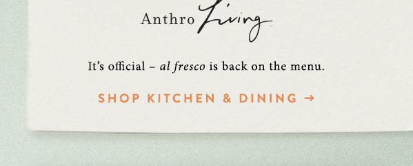 Shop kitchen and dining.