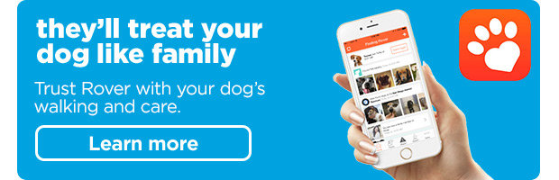 They'll treat your dog like family. Trust Rover with your dog's waling and care. Learn more >