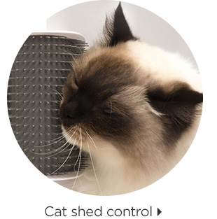 Cat shed control > 