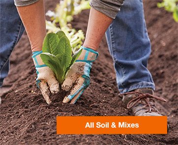 ALL SOIL & MIXES