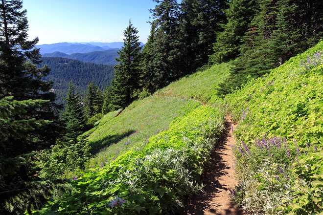 Backpack the Pacific Crest Trail and learn outdoor skills.