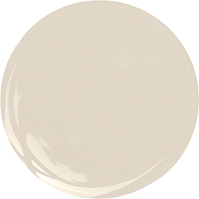 Paint swatch of Kestrel White