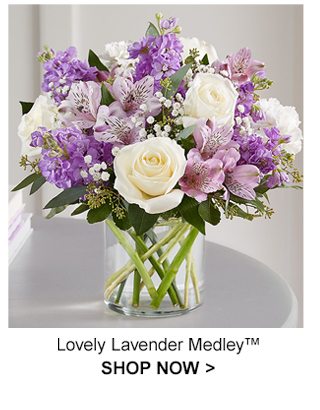 Lovely Lavender Medley