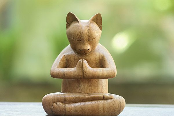 Mindful Cat Says Happy World Peace Day