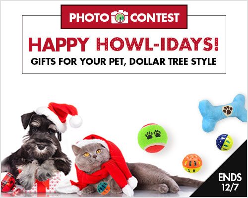 Enter our Gifts for Your Pets Contest!