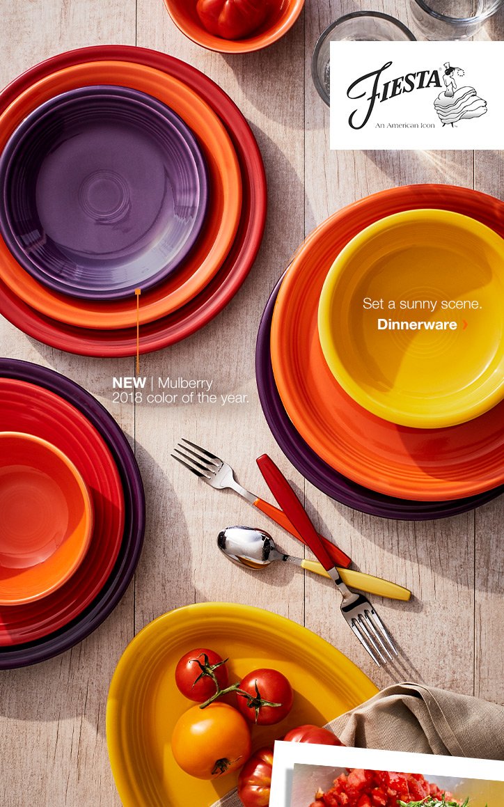 Shop dinnerware