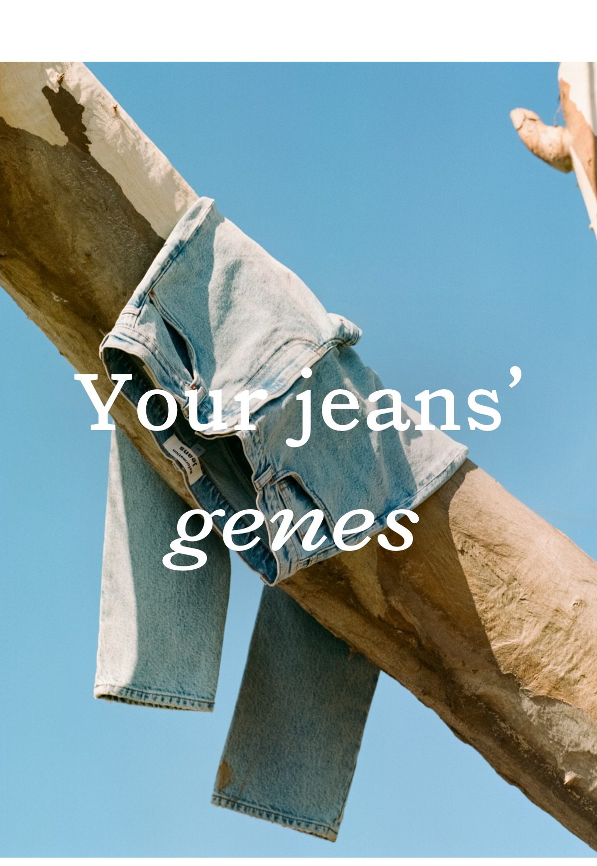 Your jeans' genes