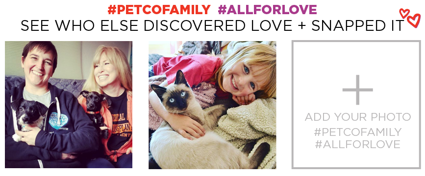 See who discovered love on Instagram