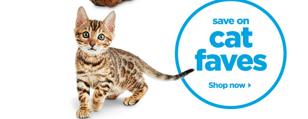 Save on cat faves. Shop now.